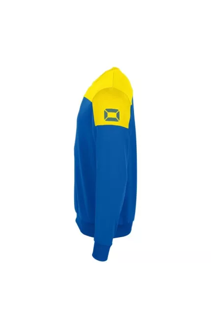 Survêtement de sport unisexe Stanno Pride Top Round Neck