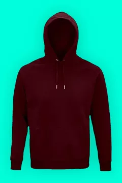 Sweat à capuche Stellar